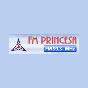 Rádio FM Princesa 99.3 logo
