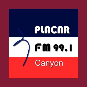 Radio Placar 99.1 FM logo