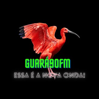 Guará 90 FM logo