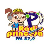 Radio Princesa do Brejo FM logo