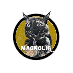 Magnolia Web Radio logo