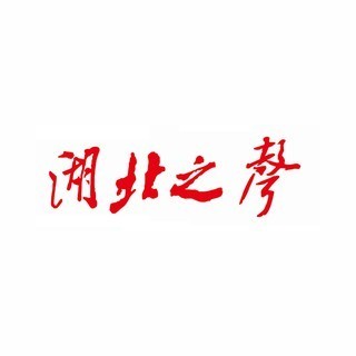 湖北之声 FM104.6 (Hubei News) logo