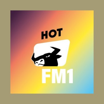 FM1 Hot logo
