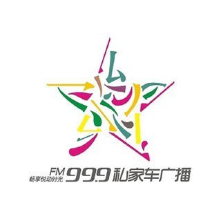 河南电台私家车广播 FM99.9 (Henan) logo