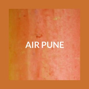 Air Pune logo