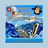Radio Bärner Schlagerwelt logo