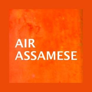 AIR Assamese logo