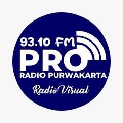 PRO 93.1 FM Purwakarta logo