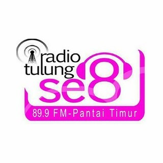 Radio Tulungselapan FM 89.9 logo