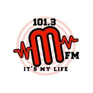 101.3 MFM logo