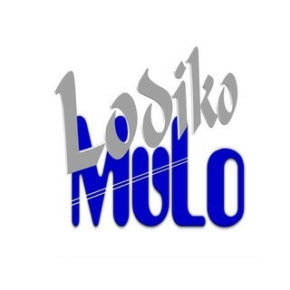 Lodiko SODONYO logo