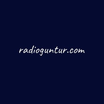 Guntur FM logo