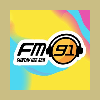 FM91 Pakistan - 90s Music logo