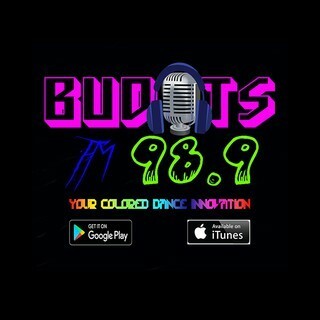 Budots FM 98.9 logo