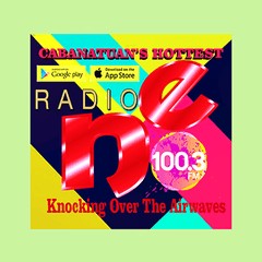 Radio NE FM100.3 logo
