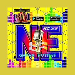 Radio NE FM 100.3 Gapan City logo
