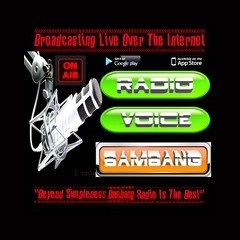 Radio Voice Bambang logo