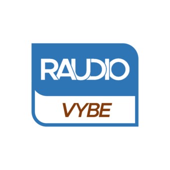 Raudio VYBE logo