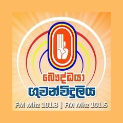 The Buddhist Radio logo