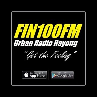 FIN 100 FM logo