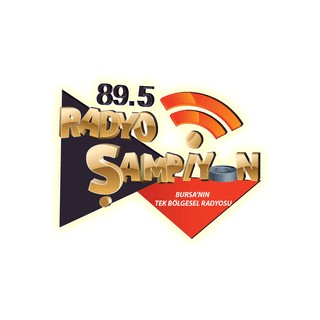 Radyo Sampiyon logo