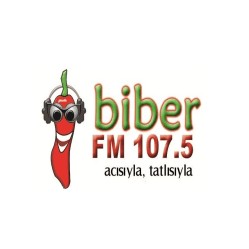 BIBER FM logo