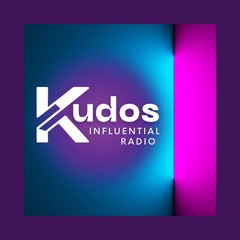 Kudos Radio - Andrew Neil logo
