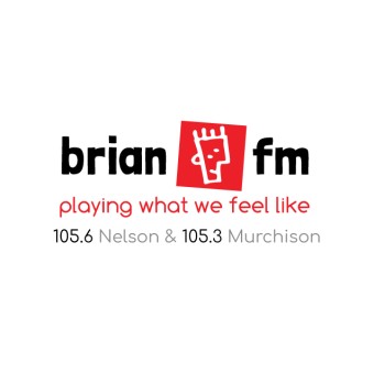 Brian FM Nelson logo