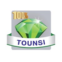 100% TOUNSI WEB RADIO logo