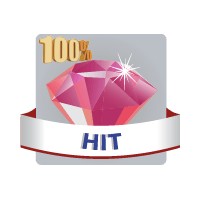 100% HIT WEB RADIO logo