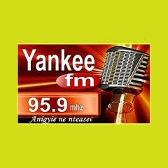Yankee FM 95.9 logo