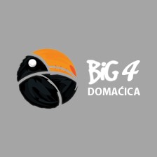 BiG 4 Radio Domaćica logo