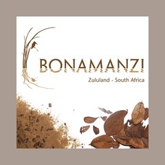 Bonamanzi logo