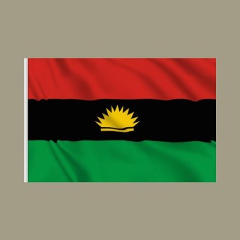 Biafran Vibes live logo