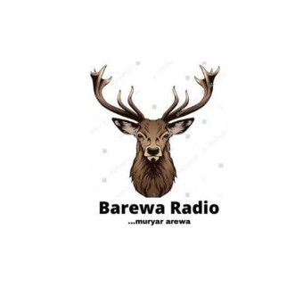 Barewa Radio live logo