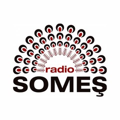 Radio Somes logo