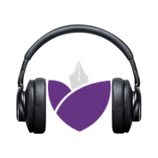 Radio Pitesti logo